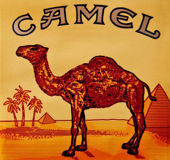 camel-sigareti-s-nemaloj-istoriej.jpg
