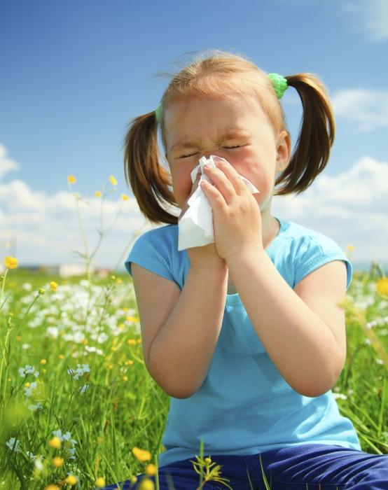 Hogyan lehet enyhíteni az allergiás rhinitisben szenvedők állapotát? Megelőzés és kezelés